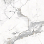 PR130 Maverick White polished 600x600x9 PrimaVera