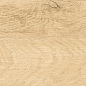 GP1560SAB11 Sunbau Oak Sugar 151x602 New Trend