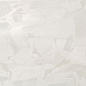8MPW Mark White Paint 40x80 Atlas Concorde