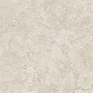 NTT9453M Zeus Taupe Mat 60x120 NT Ceramic фото в миниатюре 9