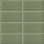 Bissel Green Olive 10x20 Mainzu