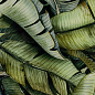 Uniwersalne Inserto Szklane Leaf B 30x60 Paradyz