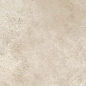 Imagine Beige Carving 60x120 Gravita