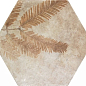 220971 Tropic Cotto 32x36.8 ZYX