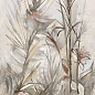 Dream Jungle 6.5mm 120x278 Fondovalle