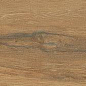 Leccio Oliato Ret 20x120 Serenissima Cir