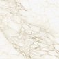 610010002745 Микеланджело Ворм 60x120 ColiseumGres