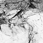 NTT9111P Marble Grey 60x120 NT Ceramic