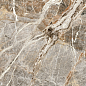 774888 Nature Mood Mount Peak Glossy 6mm 120x120 Casa Dolce Casa
