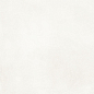 NP_P0074 Delishn white 60х60 Creto