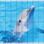 FS014 Fotosera F08 12,5х25 (150x100) Serapool