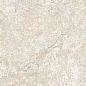 Dynasty White 20*20 Cerdomus