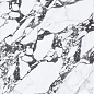 NTT3013P (B) Tantai Jin Demon 120x240 NT Ceramic