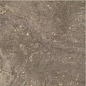 610010001441 Червиния Земля 45x45 ColiseumGres