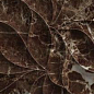 N60008 Emperador Nuovo Struttura Brillo 24.2x70 Eletto Ceramica