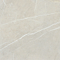 BB6NTT9101P Bright And Shiny 60x60 NT Ceramic