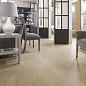 Starwood Venis