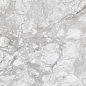 230167 Polar Grey Polished 60x120 Concor