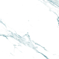 Teal Statuario 60x120 Realistik