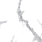 Statuario Crown полированный 60x60 Laparet