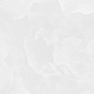 6060ICO00P Ice Onyx 60x60 LCM
