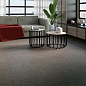 Belgravia Navarti (Kerlife)