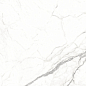 ETMAR1220GL60120 Arabescato Romance Glossy 60x120 Eternal