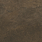 DD503900R Про Стоун коричневый обрезной 60x119.5 Kerama Marazzi
