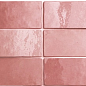 24466 ARTISAN ROSE MALLOW 6,5X20 EQUIPE