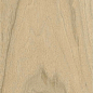 610010004067 Bormio Sand Ret 20x120 ColiseumGres фото в миниатюре