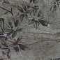 DEC ESSENCE AUTUMN SMOKE A NPLUS 89*118,2 Fanal