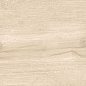 Dixie Almond 20x120 Geotiles