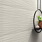 3D Wall Plaster Atlas Concorde