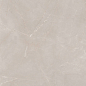 Natural Armani Light Grey Polish 60x120 Granoland