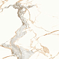 N20320 Statuario Gold Fusion 60x120 Neodom
