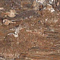 Kiwi Redroot Mat 20x120 Alpas Euro