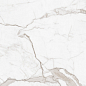 60120ARS01P Calacatta Arabesque полированный 600x1200x7 New Trend