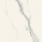 746590 I Classici Stratuario Glossy Ret 60x60 Rex Ceramiche