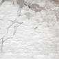 Napoli Rect 30x60 Alborz Ceramic
