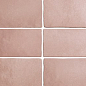 24961 MAGMA CORAL PINK 6,5X20 EQUIPE