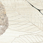 FI 10 Foliage Bianco 20х80 Del Conca