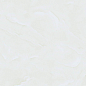P16628 Kani Polished 60x60 Pardis Ceramic Pazh