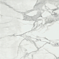 Invictus Natural 120x120 Baldocer