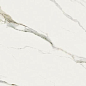PF60010364 Calacatta Michelangelo Lux 60x120 ABK