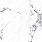 CR4006-A Borghini Silver Carving 60x60 Arcadia Ceramica
