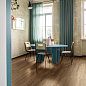 Secret Ragno Marazzi