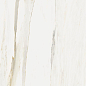 610010002833 Stellaris Carrara Ivory Nat Ret 60x120 Italon