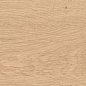 AX3M Log Bright Oak Matte 18,5x150 Atlas Concorde