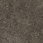 768625 Sensi Brown Fossil Nat Ret 6mm 60x120 Casa Dolce Casa