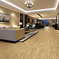 Walnut Basconi Home